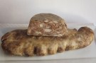 Blanquillo_tripa
